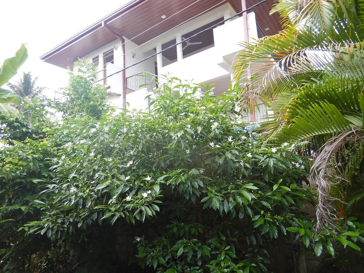 Suwani Pinnawala Homestay Extérieur photo